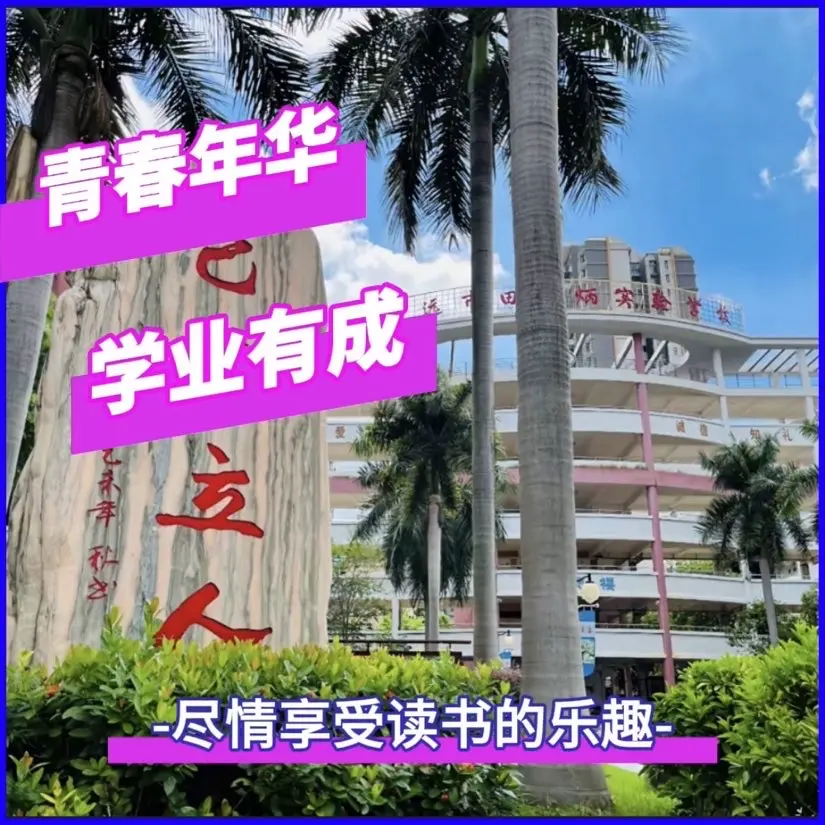 线路图片2